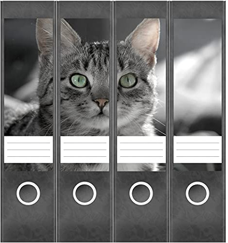 Etiketten für Ordner | neugierige Katze | 4 breite Aufkleber für Ordnerrücken | Selbstklebende Design Ordneretiketten Rückenschilder