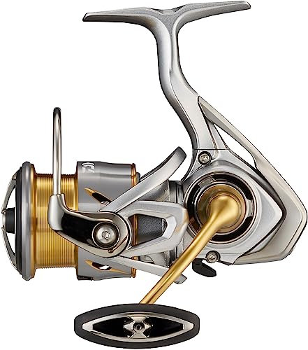 DAIWA 21 Freams LT 1000D Beidhändig Spinning Angelrolle Frontbremse 10229-101