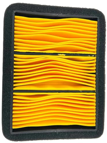 TGVSELPJ Parti di Moto 1PCS Moto Elemento Filtro Aria di Ricambio per Benelli Leoncino 500 ABS H2O 4T E5 2021 2022 2023