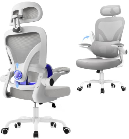 naspaluro Bürostuhl, Ergonomischer Schreibtischstuhl, 110kg, Grau | Netzbespannung, 3D-Verstellbare Kopfstütze, Lendenwirbelstütze, 90°-Armlehne, Wippfunktion, für Home Office, Büro & Studenten