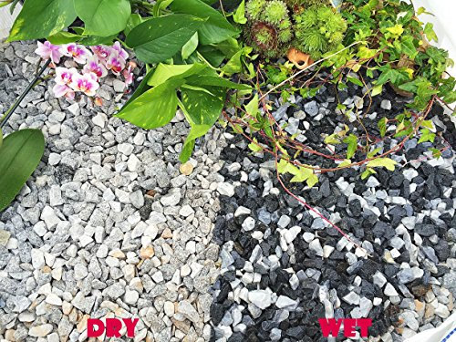 Gravier de gravier en ardoise pour dissuader les mauvaises herbes, jardin, terrasse, allée – Marbre glacé noir (14–20 mm)