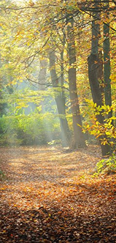 Melis-Folienwerkstatt Türtapete Türposter selbstklebend – Waldweg im Herbst - 90x205cm und 100x210cm - Fototapete Poster Türfolie Tapete – T00110