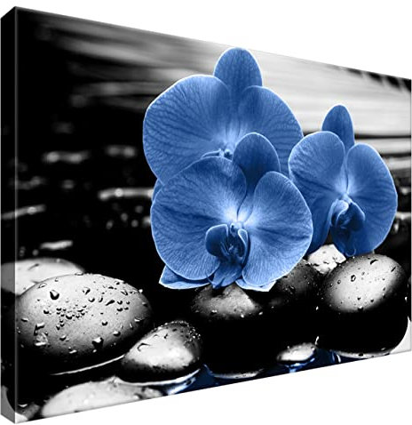 Estika Leinwand bilder - Blau Orchideen, Schwarz weiß Hintergrund - 60x40 cm, 1 teilige kunstdruck - Wandbilder wohnzimmer, schlafzimmer, Moderne wanddeko, Bild auf leinwand - 5465A_1E