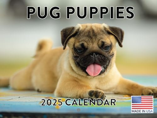 Mops Kalender 2024 Welpe Wandkalender Niedliche Welpen