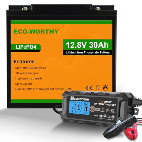 ECO-WORTHY 12V 30Ah Lithium Ion Phosphate Battery with 5A Smart Lithium Battery Charger, for Kid Scoot, Boat, Fishfinder, Lighting, Power Wheels, Lawn Mower,RV
