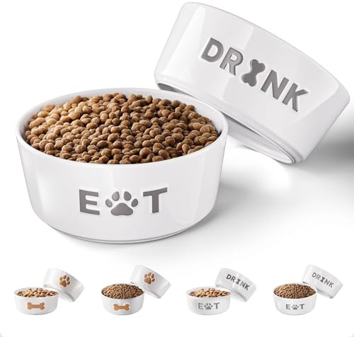 Ceramic Dog Bowl Set of 2 with Anti-Skid Base - 6.5 Wide x 2.5 Tall Ceramic Dog Bowls Medium Sized Dogs - 3 Cup Capacity Food and Water Bowls for Dogs - Rubber Bottom Pet Bowl Set of 2 Medium Size