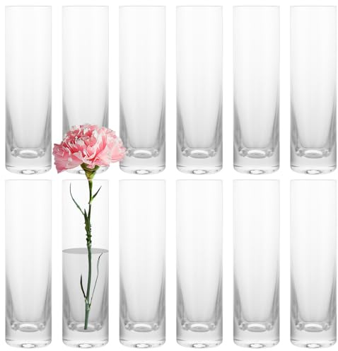 ZOFUN 12 Stück Kleine Vasen für Tischdeko, Vase Glas Glasvasen 4.7x4.7x17.5CM Glasvase Zylinder Runde, Blumen Vasen Glaszylinder Vase für Tischdeko, Rosen, Tulpen, Pampasgras