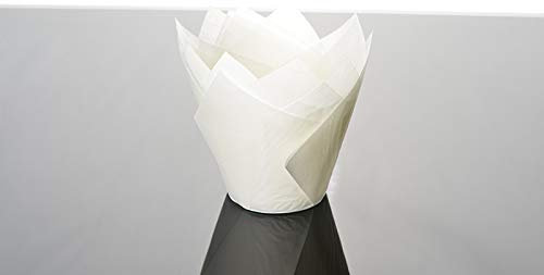 Bakery Direct 50 Standard Size Tulip Muffin Wraps White