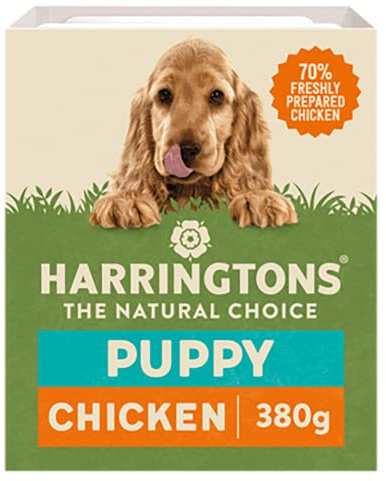 Harringtons Turkey & Vegetables Wet Puppy Food Trays 380g