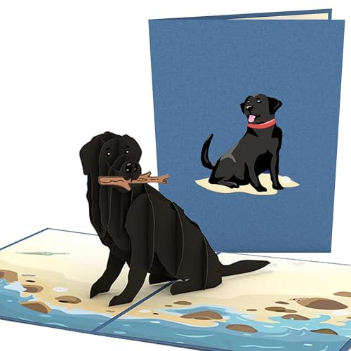 Lovepop® 3D Pop-Up Karte schwarzer Labrador Grußkarte mit Hund am Strand für Hundebesitzer & Hundeliebhaber dog lover card | inkl. Umschlag & Versteckfach für Geld & Gutscheine