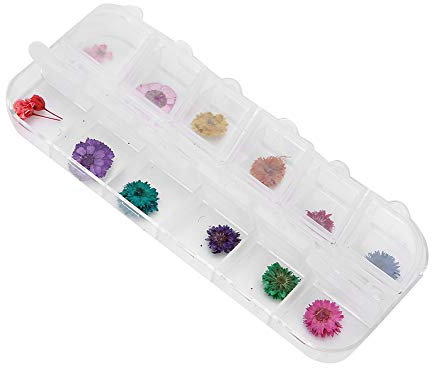 Dry Flowers for Nails, Mini Dried Flowers 12 Colors Dried Flower Real Flowers Nail Decals Flower Nail Art DIY Nail Art Decoration Accessories for Women DIY Nail Accessories (Type