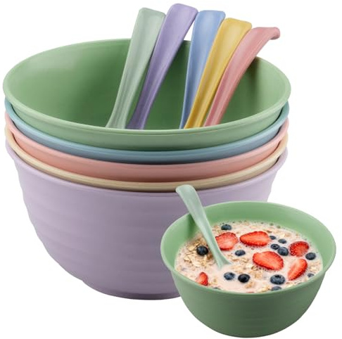 duisoad 10 Stück Müslischalen Unzerbrechlich Kunststoff Schale Suppenschüssel Mehrweg Plastik Ramen Schüssel für Suppen, Brei, Salate, Nudeln, Reis