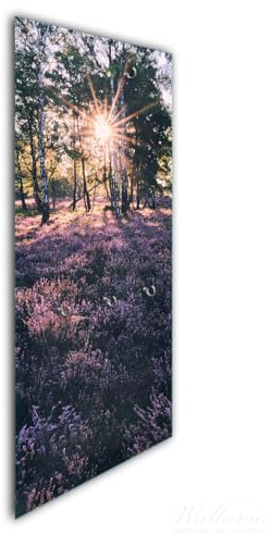 Wallario Wandgarderobe aus Glas in Größe 50 x 125 cm in Premium-Qualität, Motiv: Heide im Morgenlicht | 7 Kleiderhaken zum Aufhängen von Jacken