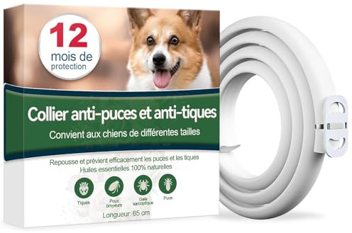 Paistely Collier Anti Puces pour Chien, 12 Mois De Protection Efficace, Collier Anti Tique Chien, Réglable Et Étanche, Convient Aux Chiens De Toutes Tailles (65cm)