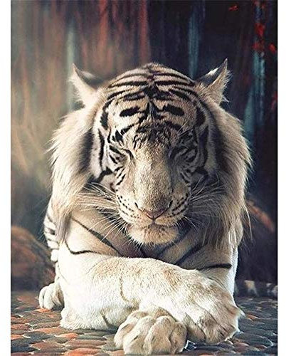 5000 Teile, Impossible Puzzle, Weißer Tiger blinzelt Geschicklichkeitsspiel für die ganze Familie, farbenfrohes Legespiel, Erwachsenenpuzzle ab 14 Jahren, als Ostergeschenk-61.61x41.53 Zoll (156.5 x