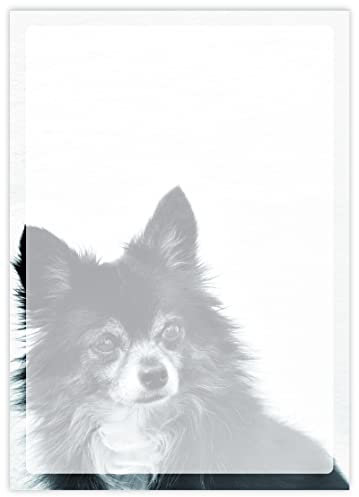DIN A4 Hundemotive Briefpapier mit Hund - Papier Hunde - 20 Blatt - Motiv Nr. 010 | 80g/m²