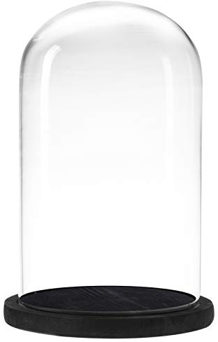 MyGift Bell Jar Glass Cloche Black Wood Base 10 Inch Display Dome