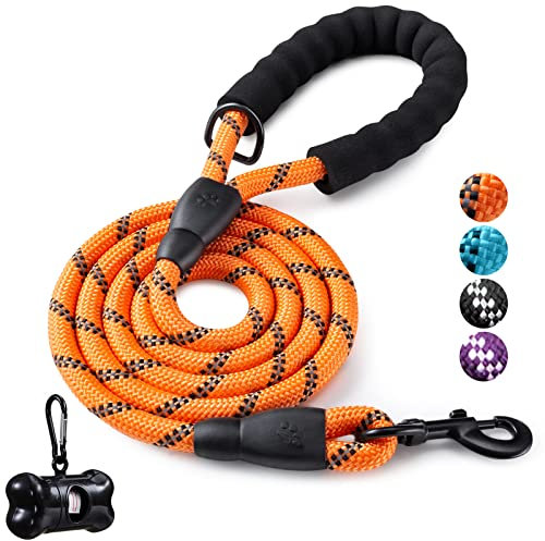 5 FT Strong Dog Leash with Comfortable Padded Handle and Highly Reflective Threads for Medium and Large Dogs (5-FT, Orange)