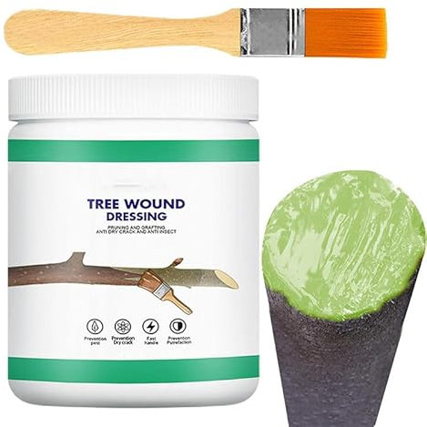 Nexoria Pâte cicatrisante pour plantes, 120 g, agent de guérison des plaies d'arbre, avec pinceau, scellant d'élagage des plaies de plantes, agent de réparation rapide pour arbres, mastic de guérison