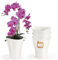 Garten lux Orchideentopf 4er Set 1L-Orchideen Übertopf Weiß Transparent Blumentopf Ø 13cm-Kunststoff Orchid Pot-Blumentopf für Orchideen