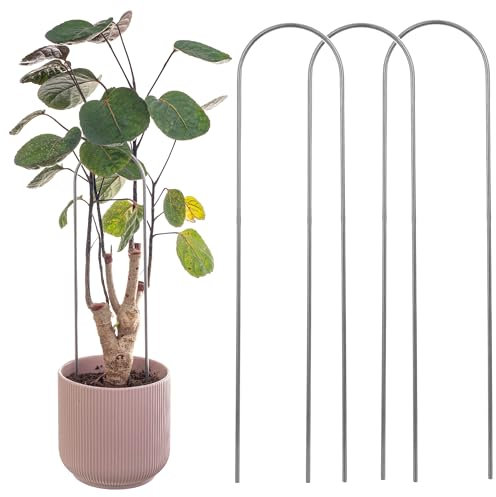 KADAX Rankhilfe aus Metall, 3 Stück, Rankgitter für Zimmerpflanzen und Topfpflanzen, Pflanzenstütze, Kletterhilfe für Pflanzen, Blumenstütze (Modell 5)