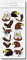 style4Bike Adler imposante Adler als Sticker Motive Fahrrad Set für Fahrrad ✓ Top Aufkleber ✓ | D00061
