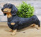 Animal Crackers Dachshund indoor or garden patio planter ornament home decor Sausage Dog lover gift