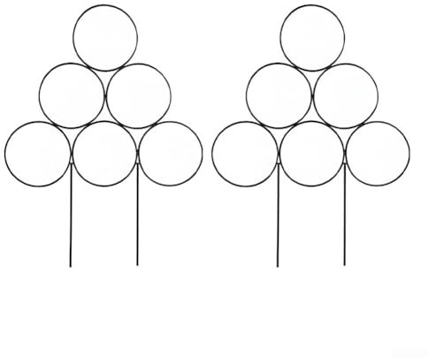 Eawfgtuw Lot de 2 supports décoratifs en fer forgé pour plantes créatives - Pour plantes de jardin, vignes - Décoration intérieure et extérieure