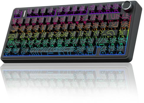 AULA F75 Mechanische Tastatur Gaming,2.4GHz/Type-C/BT5.0 Kabellos Gaming Tastatur 75 Prozent,Seitlich Graviert,Gasket Struktur,Hot-Swap Wireless Tastatur RGB,QWERTY (Schwarz)