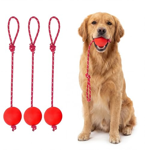 AUFIKR 3 Pack Dog Ball on a Rope, Durable Elastic Solid Rubber Balls Interactive Chew Toys for Small Medium Large Dogs, Fetching Catching Throwing and Tugging Toys (Medium)