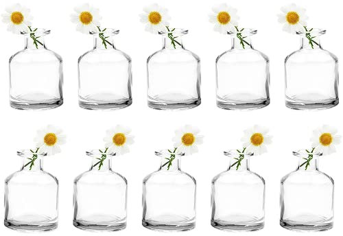 Chive Blumenvase Loft — Schöne Glasvasen für Blumen & Zimmerpflanzen — Süße Deko kleine Vase — Kurzflasche 10er Set