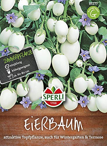 Sperli 85277 Eierbaum - essbare Früchte (Eierbaumsamen)