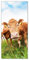 Wallario Selbstklebende Türtapete Kühe im Sommer auf der Weide - Türposter 93 x 205 cm Abwischbar, rückstandsfrei zu entfernen