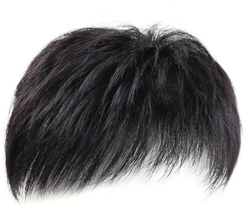 Realistic Short Synthetic Men's Hairline Replacement Wig - Fluffy Hair Piece for Cosplay and Daily Dress Up (Black)