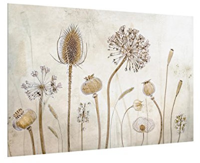 Bilderwelten Paraschizzi in Vetro - Growing Old - Orizzontale 2:3, Paraschizzi Cucina Pannello paraschizzi Cucina paraspruzzi per Piano Cottura Pannello per Parete Cucina, Misura (AxL): 40cm x 60cm