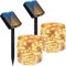 Peasur 2 Pacchi Luci Solari da Giardino, 12M 120 LED Catena Luminosa Esterno Solare Impermeabile, 8 Modalità Lucine Esterno Energia Solare Filo di Rame Luce Decor per Giardino Albero Patio Natale