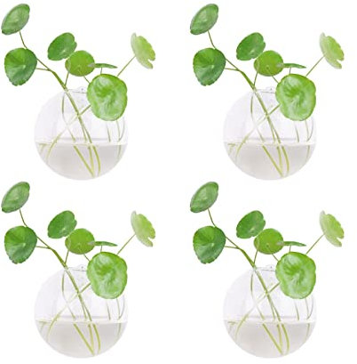 Dubee Macetas colgantes de pared de cristal, jarrones colgantes de pared para plantas de interior, contenedores de vidrio para plantas de aire, suculentas y velas de exhibición. (4 piezas)