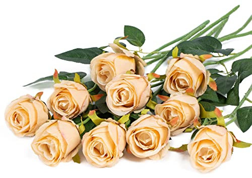 DuHouse 10pcs Artificial Silk Roses Flowers Single Long Stem Fake Rose Bouquet for Wedding Home Party Decoration Centerpieces(Champagne)
