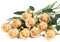 DuHouse 10pcs Artificial Silk Roses Flowers Single Long Stem Fake Rose Bouquet for Wedding Home Party Decoration Centerpieces(Champagne)