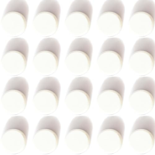 ZDZBLX Fridge Magnets, 20Pcs Strong Magnet Small Magnets Whiteboard Magnets Heavy Duty Magnets for Crafts, Tiny Mini Magnets for Adults, Cute Round Magnets for Whiteboard, Fridge, Notice Board (White)