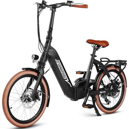 SPATIAL Ebike (Schwarzbraun)