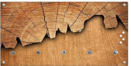 banjado® Wandgarderobe aus Echtglas/Design Garderobe 80x40x6 cm groß/Flurgarderobe mit 5 Haken/Magnetisches Garderobenpaneel Motiv Holz