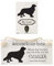 Splosh Cavalier Precious Pet Collection. Wooden Lead Hook & Dog Plaque, Accessories Set Leads Holder Wall Decor & Dog Breed House Sign Personalised Gifts & Home Decor.
