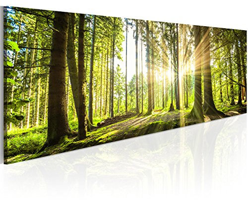 B&D XXL Acrylglasbild 135x45 cm 1 Teilig Wandbild auf Acryl Glasbilder Kunstdruck Moderne Acrylglas Platte Wanddekoration Geschenke Heimdekoration Glasbild c-B-0077-k-b