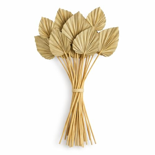 Floralcraft® Dried Palm Spear Leaves 35–40cm – Natural Boho Dried Palm Stems (15 Pack) for Weddings, Floristry & Home Décor