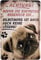 Tin Sign Blechschild 20x30 cm Warnschild Achtung Selbstmord ist Keine Lösung Hund Mops Gefahr Haus + Garten Metall Schild