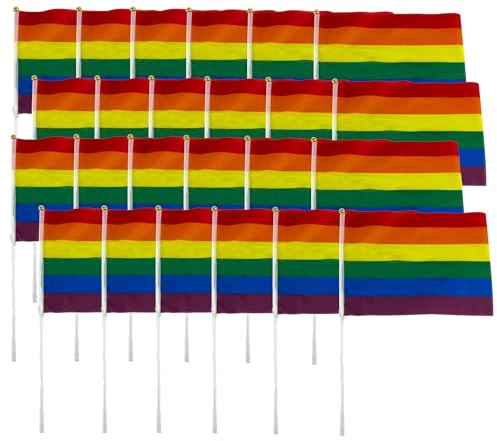 Carnavalife 12/24 PCS Banderas Orgullo Gay con palo a mano, Bandera lgtb arco iris, lgbt flag (24)