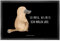 Mr. & Mrs. Panda 40 x 60 cm Fußmatte Schnabeltier Mut - Geschenk, Weltreise, Neuanfang, Neustart, Fussmatten online, Meerestiere, Urlaub, Meer,