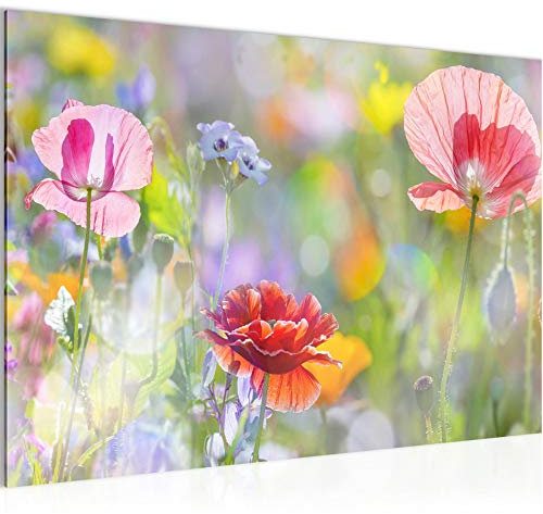 Runa Art Bild Blumen Mohnblumen Modern Wandbilder Wohnzimmer 1 Teilig - Made In Germany - Blumenwiese Natur Bunt Flur 007515a