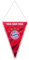 FC Bayern München | Wimpel Mia san mia| Rot